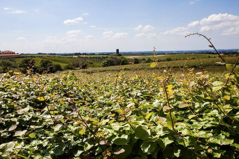 L'azienda