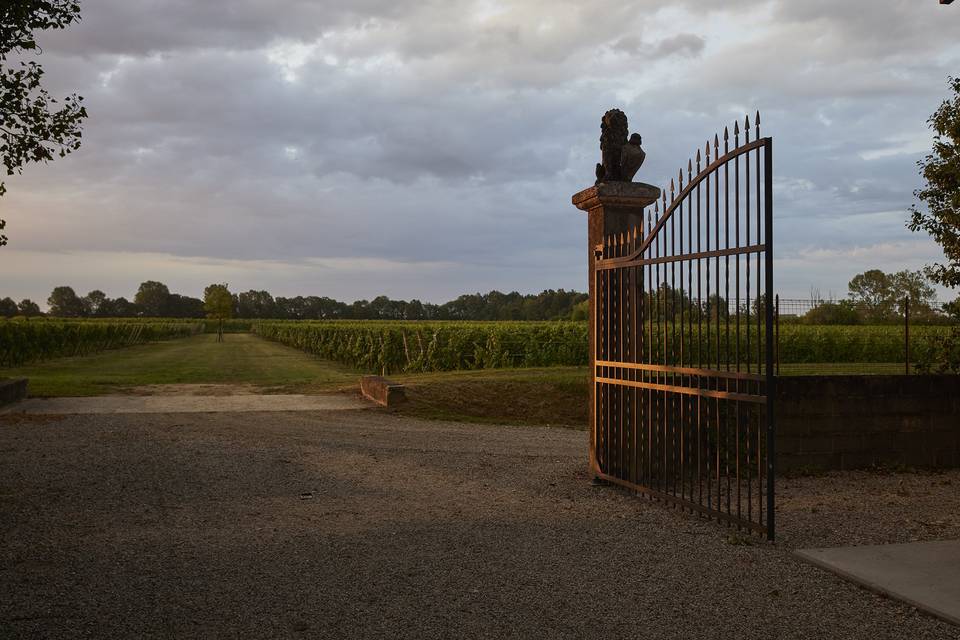 Tenuta Polvaro Winery