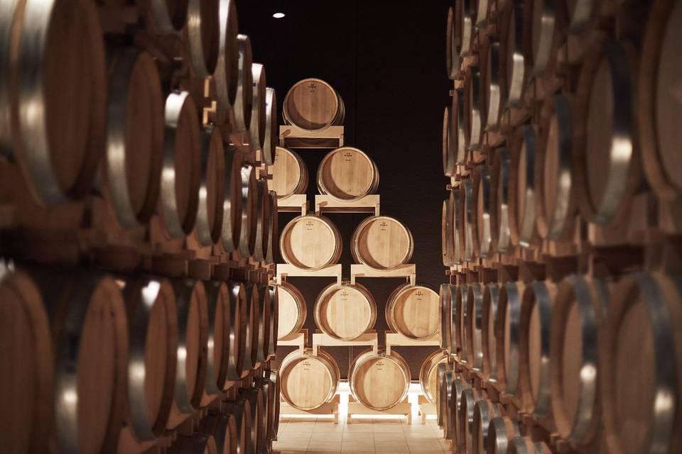 Tenuta Polvaro Winery
