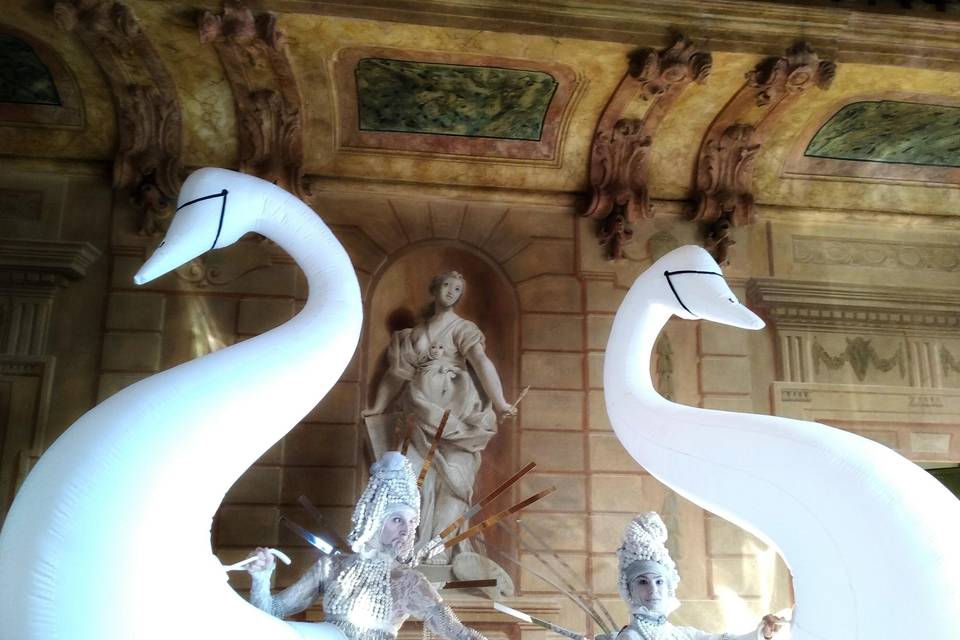 I cigni spettacoli per eventi