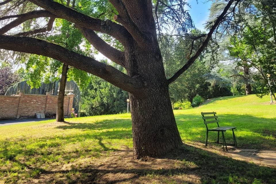 Il parco