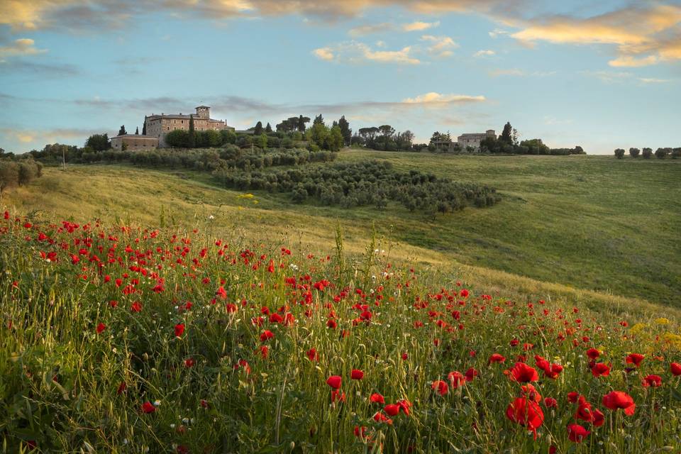 Agriturismo Cosona