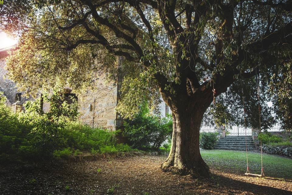 Agriturismo Cosona