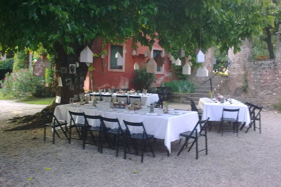 Allestimento pranzo per evento