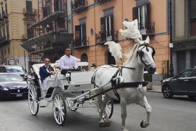 Carretti Siciliani F.lli Federico