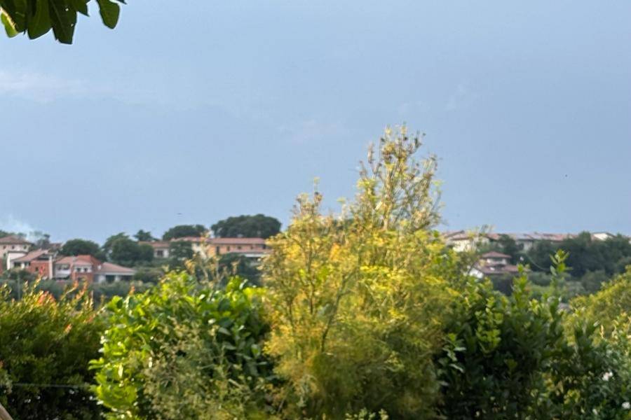 Dettagli