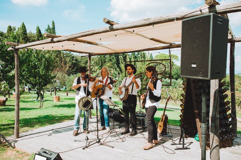 The Bluegrass Country Band