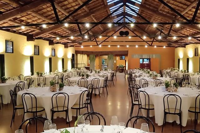 Tavoli Tondi con sedie Thonet