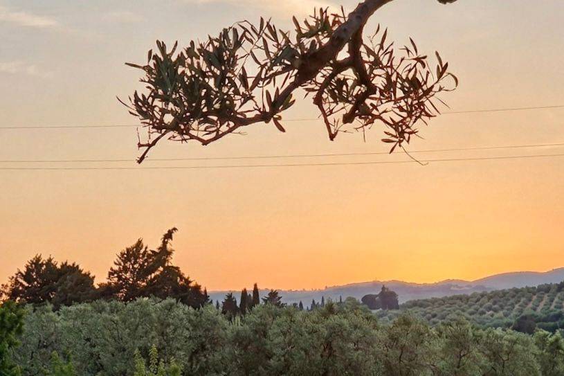 Al tramonto