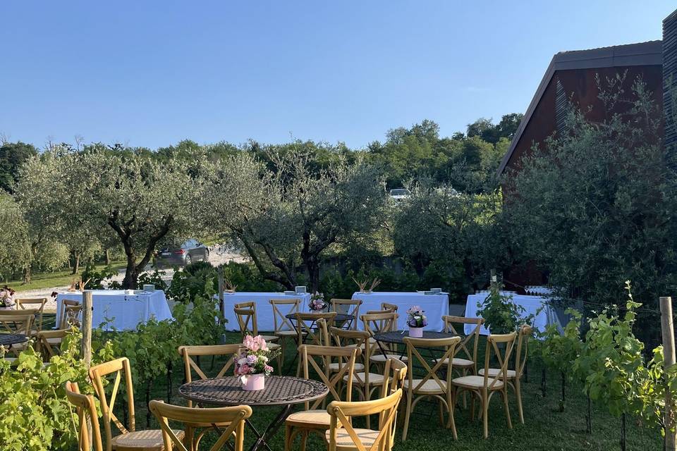 Aperitivo in vigna