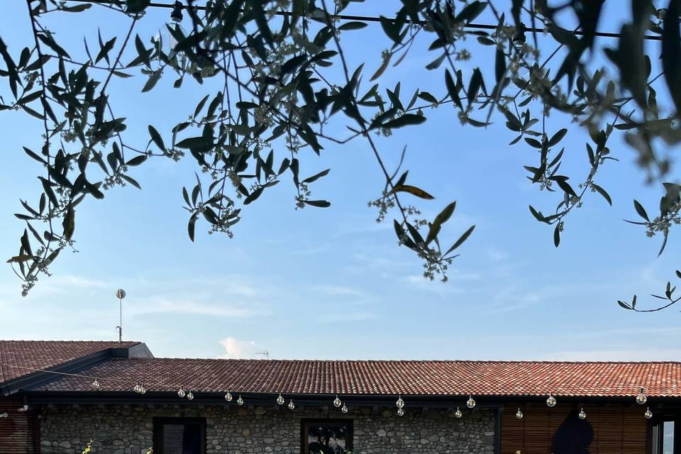 Planimetria alternativa