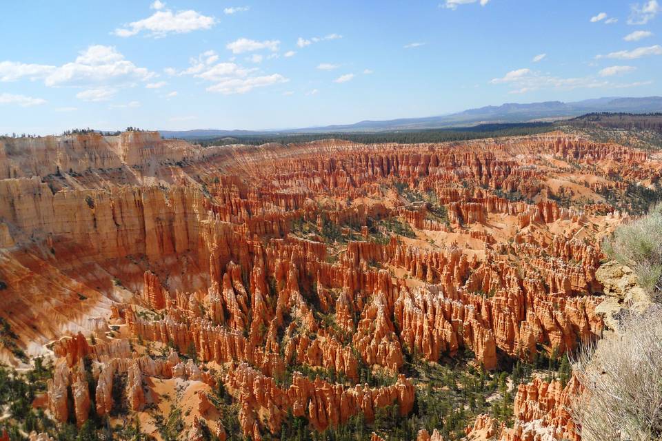 Bryce canyon