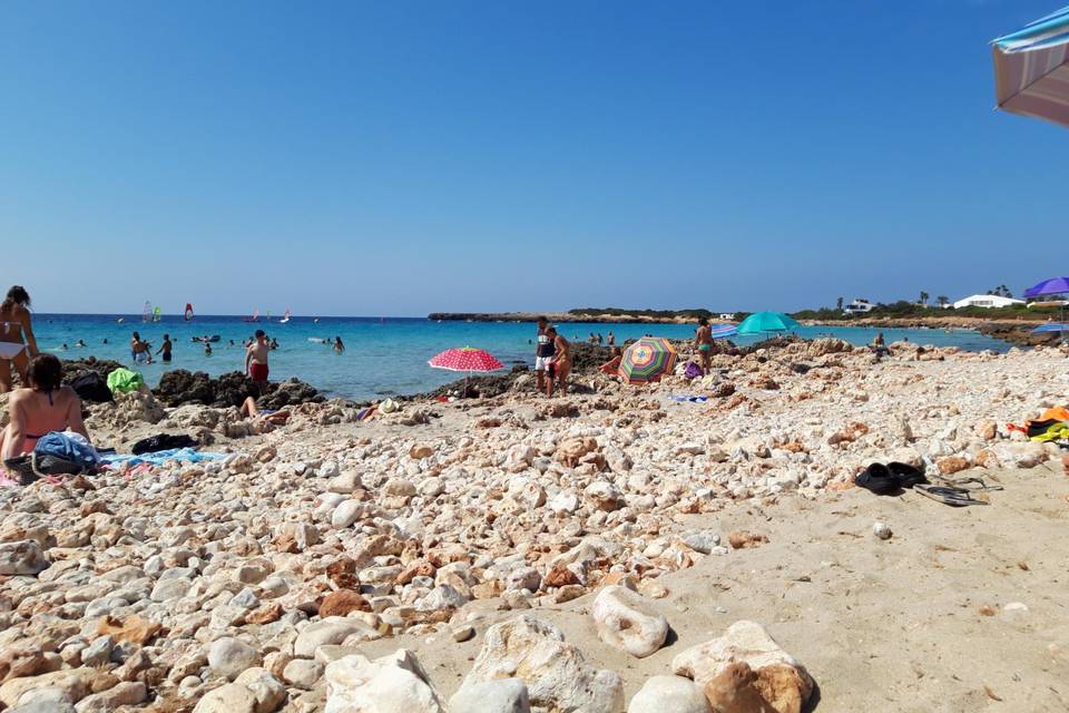 Playa de son Xoriguer