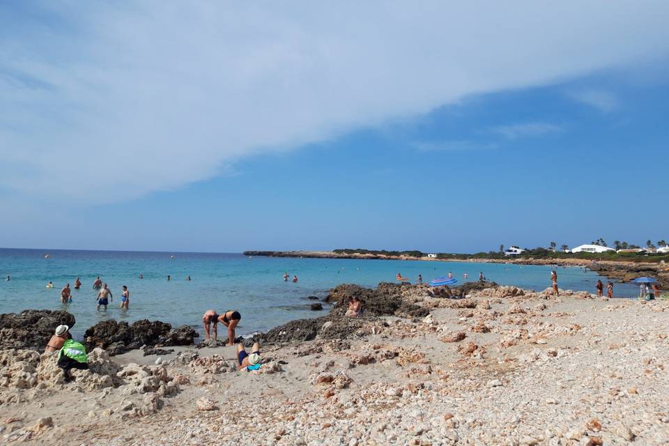 Playa de son Xoriguer
