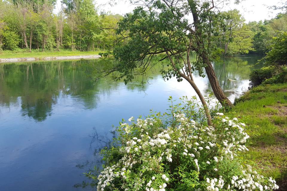 Il canale Langosco