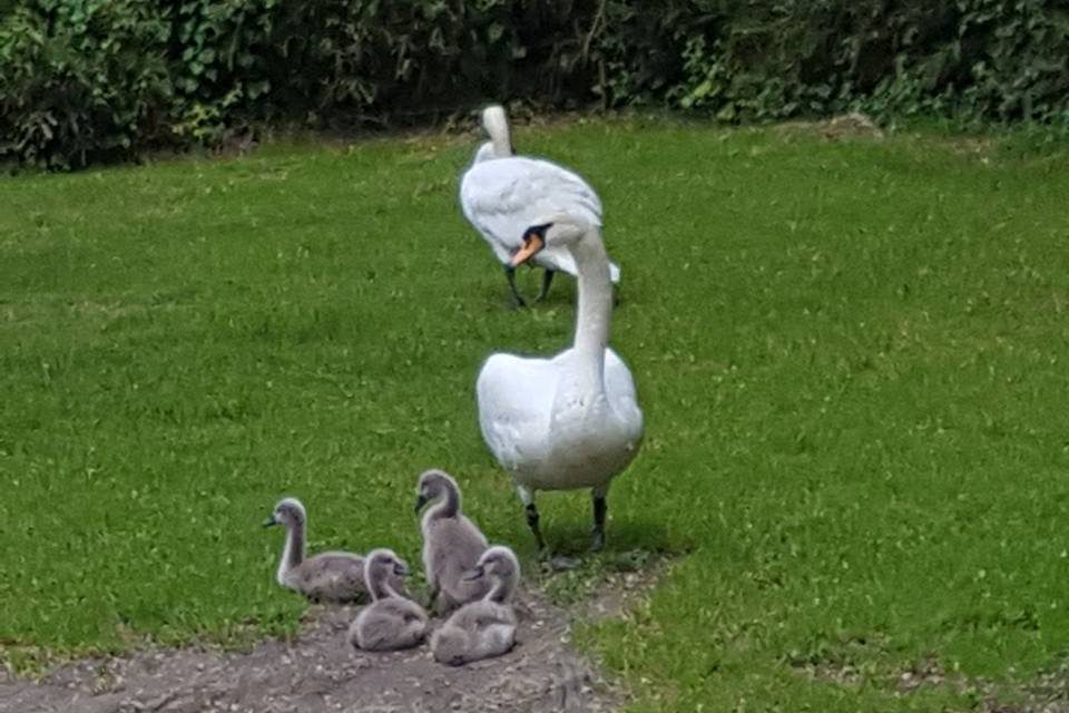 Famiglia al completo