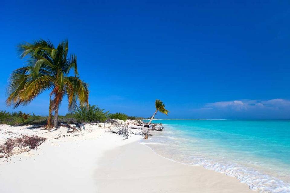 Spiagge paradisiache