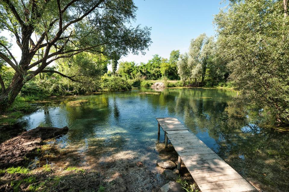 Risorgiva