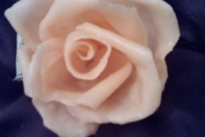 Rose di Cera & Co.