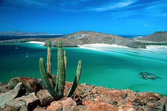 La paz baja california