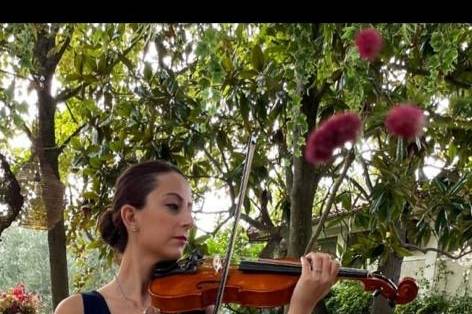 Cecilia violino