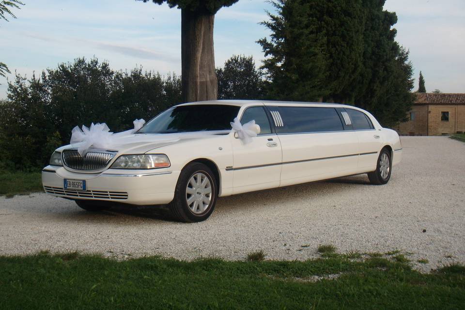 Passion Limousine Service