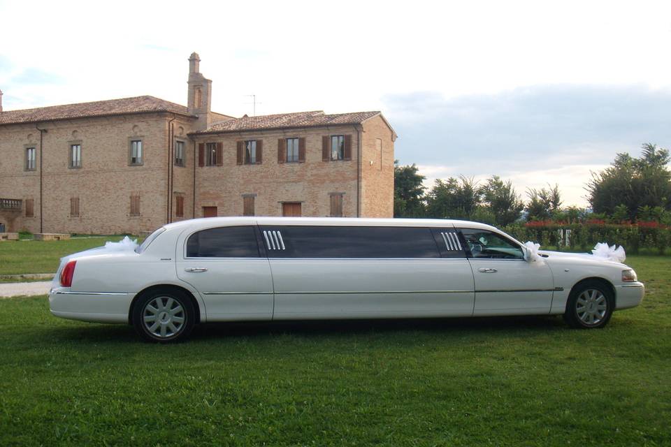 Passion Limousine Service