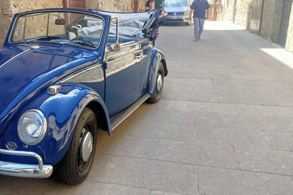 Maggiolino Blu Modena