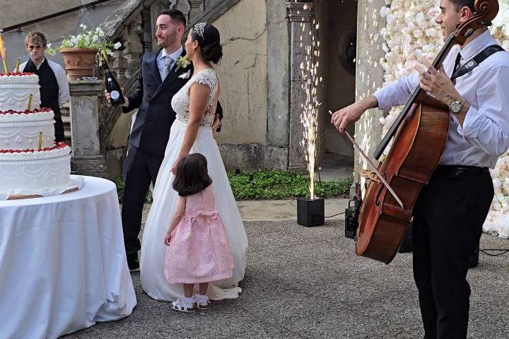 Cello Experience