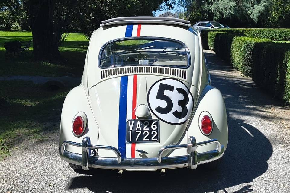 Auto Cerimonia Modena