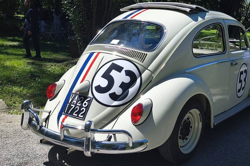 Auto Cerimonia Bologna