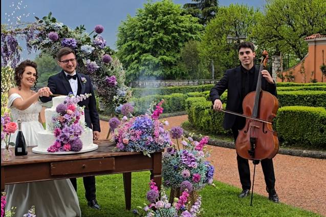 Cello Experience
