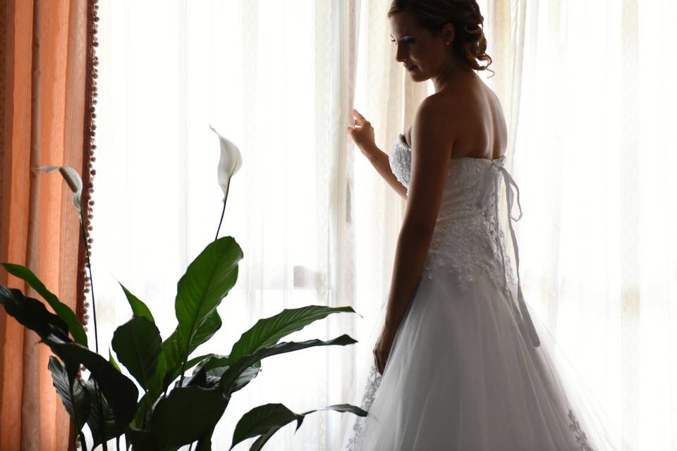 Foto66