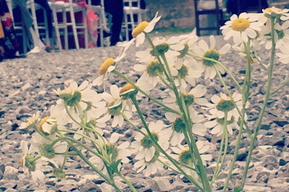 Flowers on the aisle