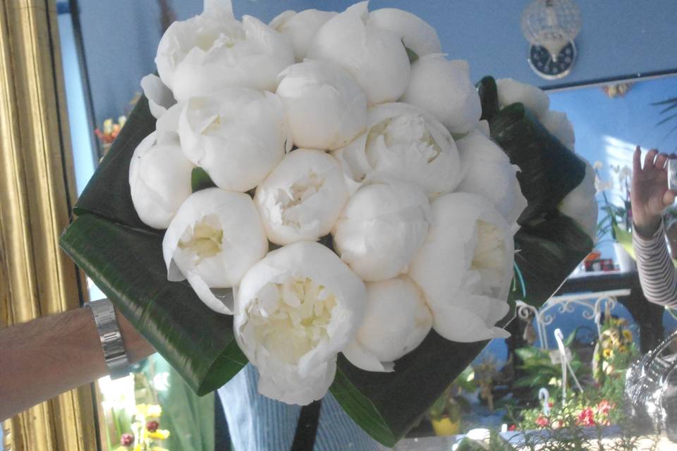 Bouquet di Peonia bianca