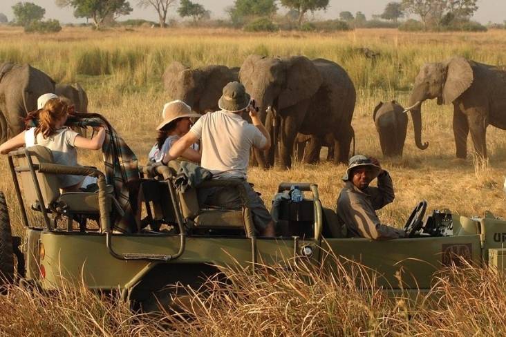 Safari sud africa