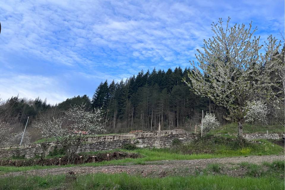 La veduta dal ristorante