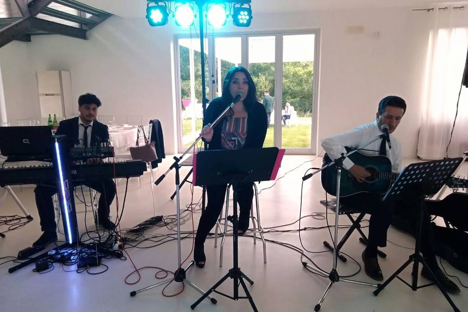 Malena acoustic trio