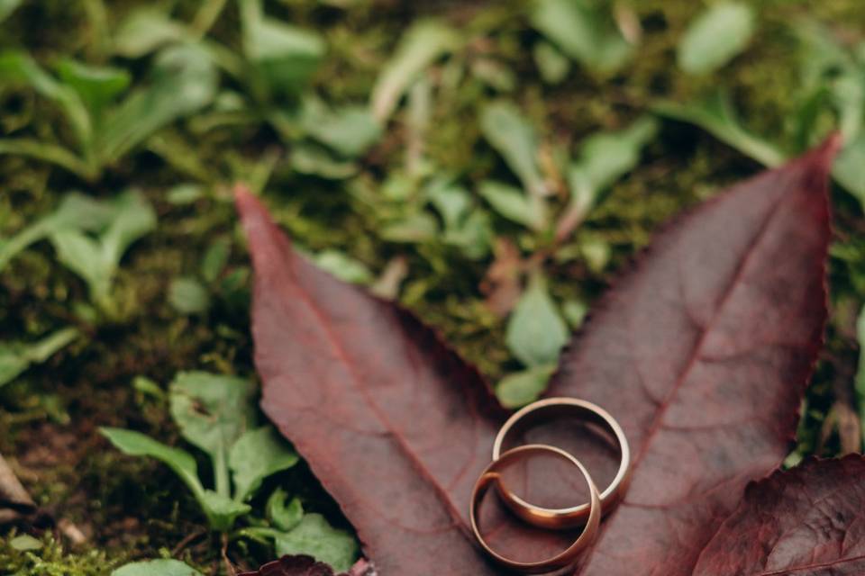 Il matrimonio autunnale