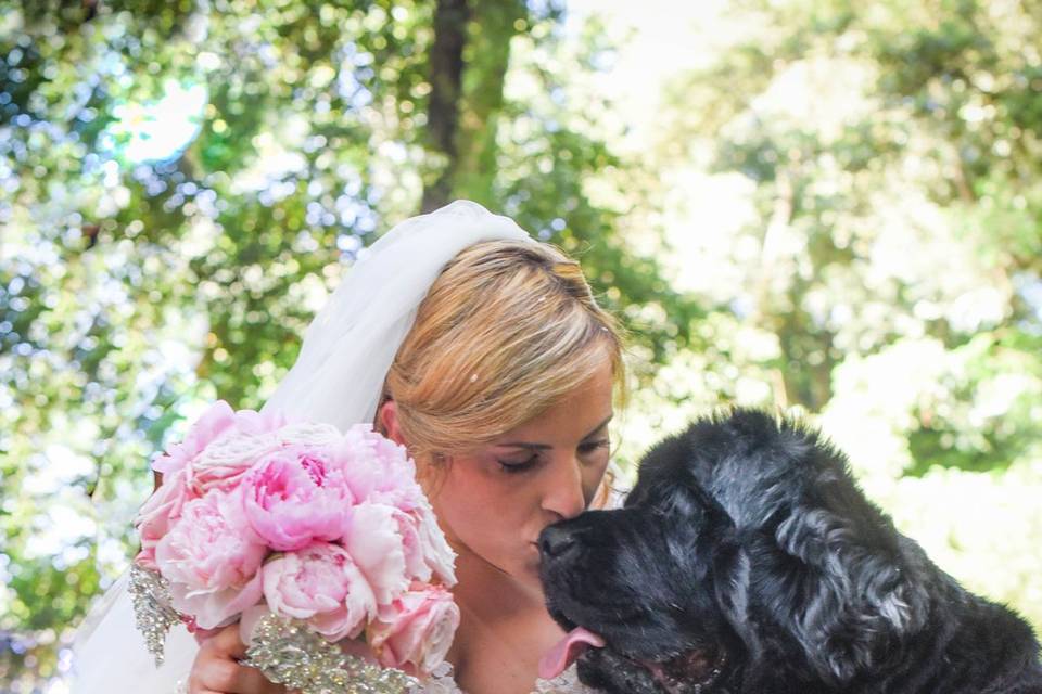 Wedding Dog Sitter Toscana