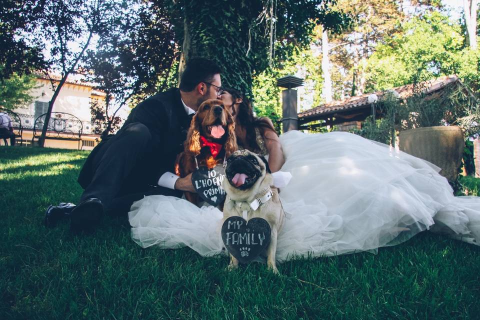 Wedding Dog Sitter L'Aquila