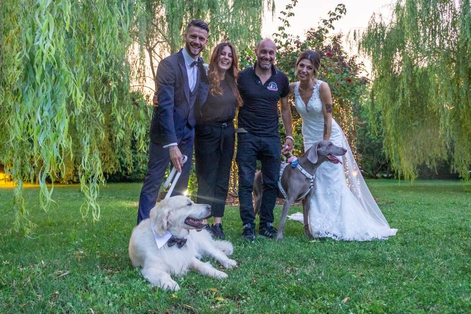 Wedding Dog Sitter