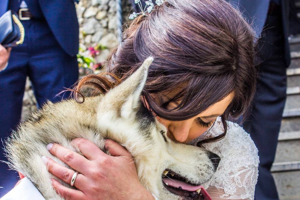 Wedding Dog Sitter Salerno