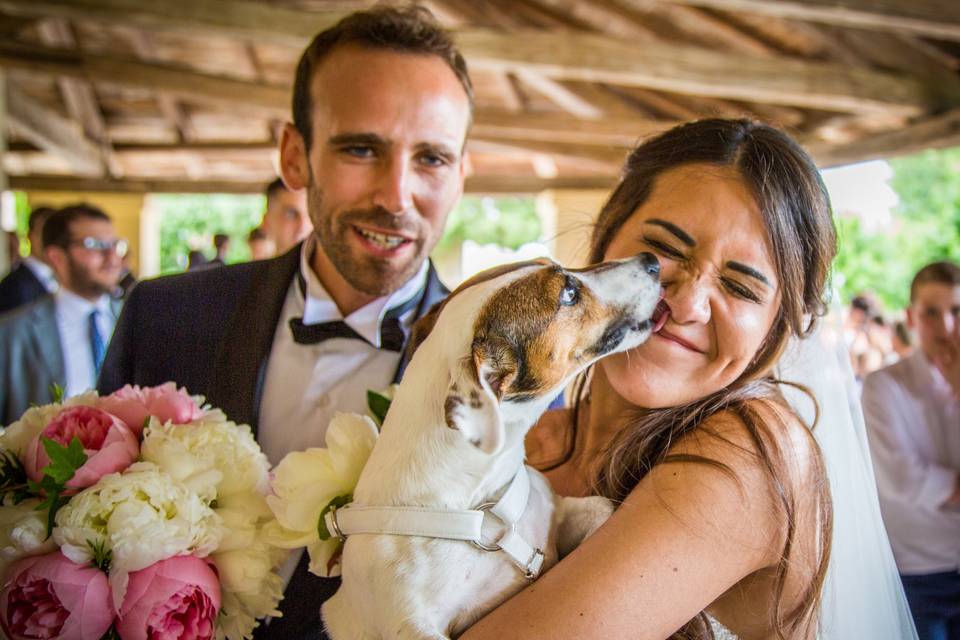 Wedding Dog Sitter Veneto