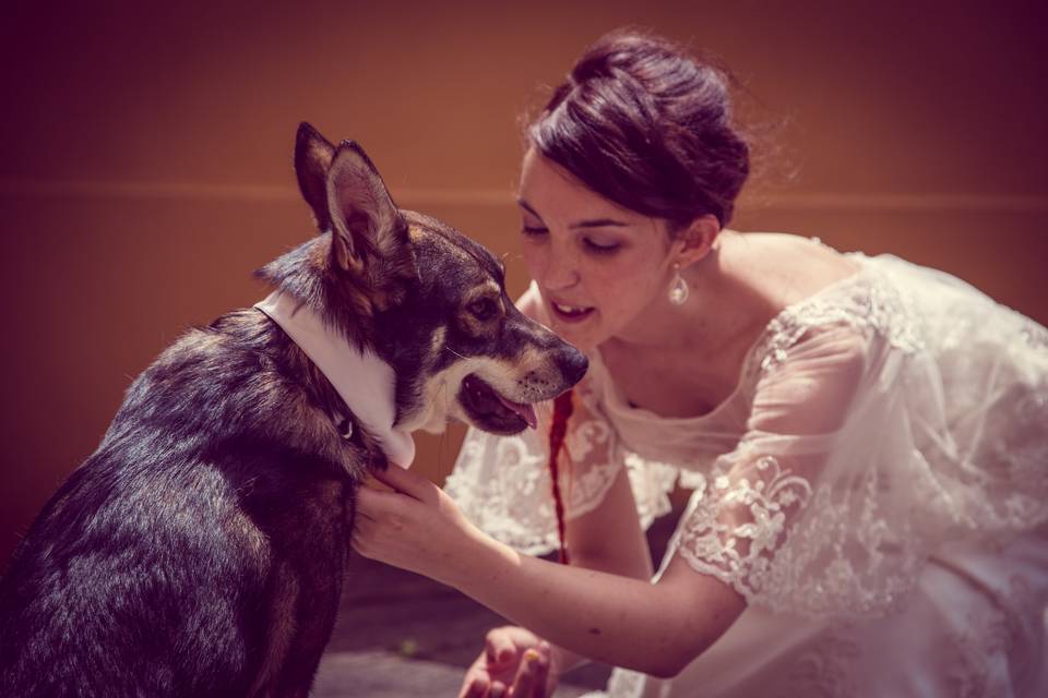 Wedding Dog Sitter Genova