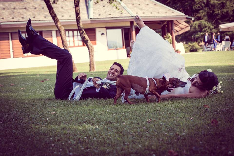 Wedding Dog Sitter