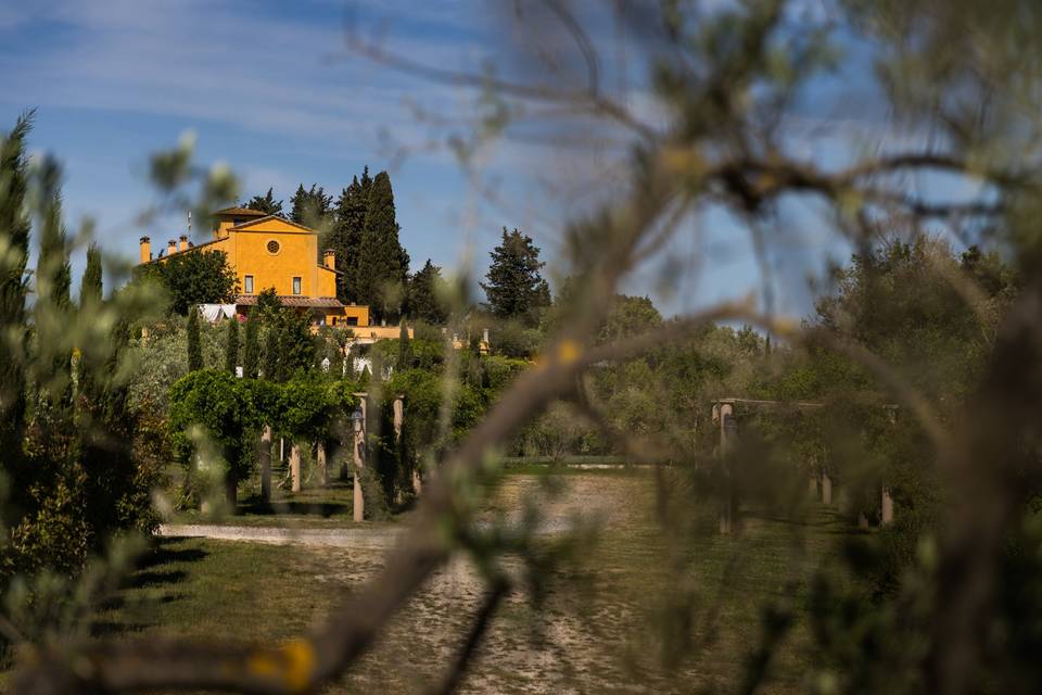 Villa Il Petriccio