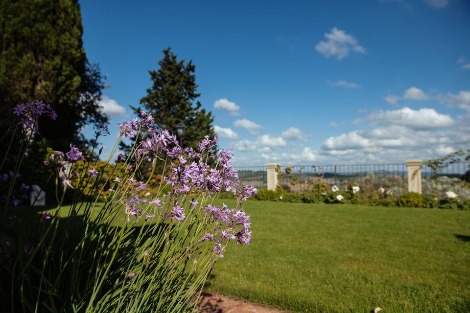 Villa Il Petriccio