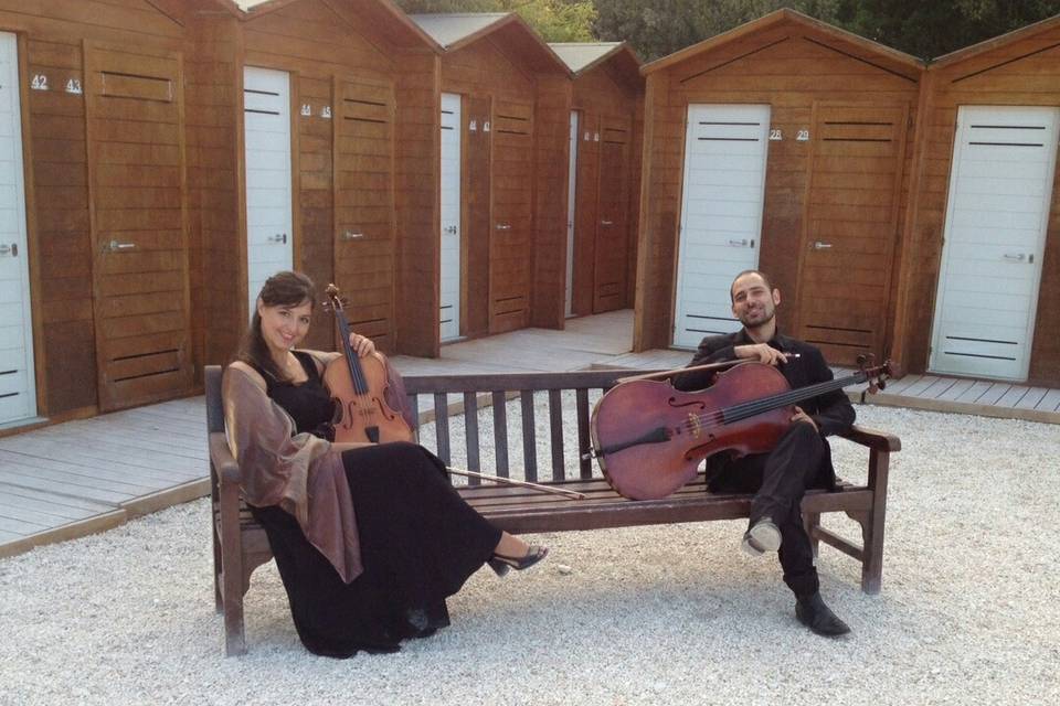 Violino e violoncello