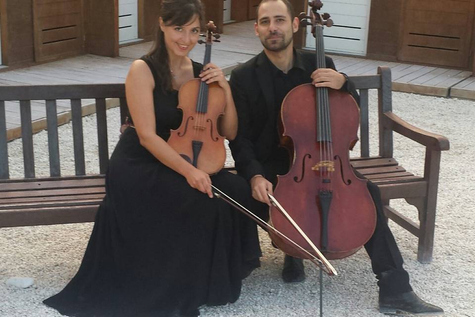 Violino e violoncello